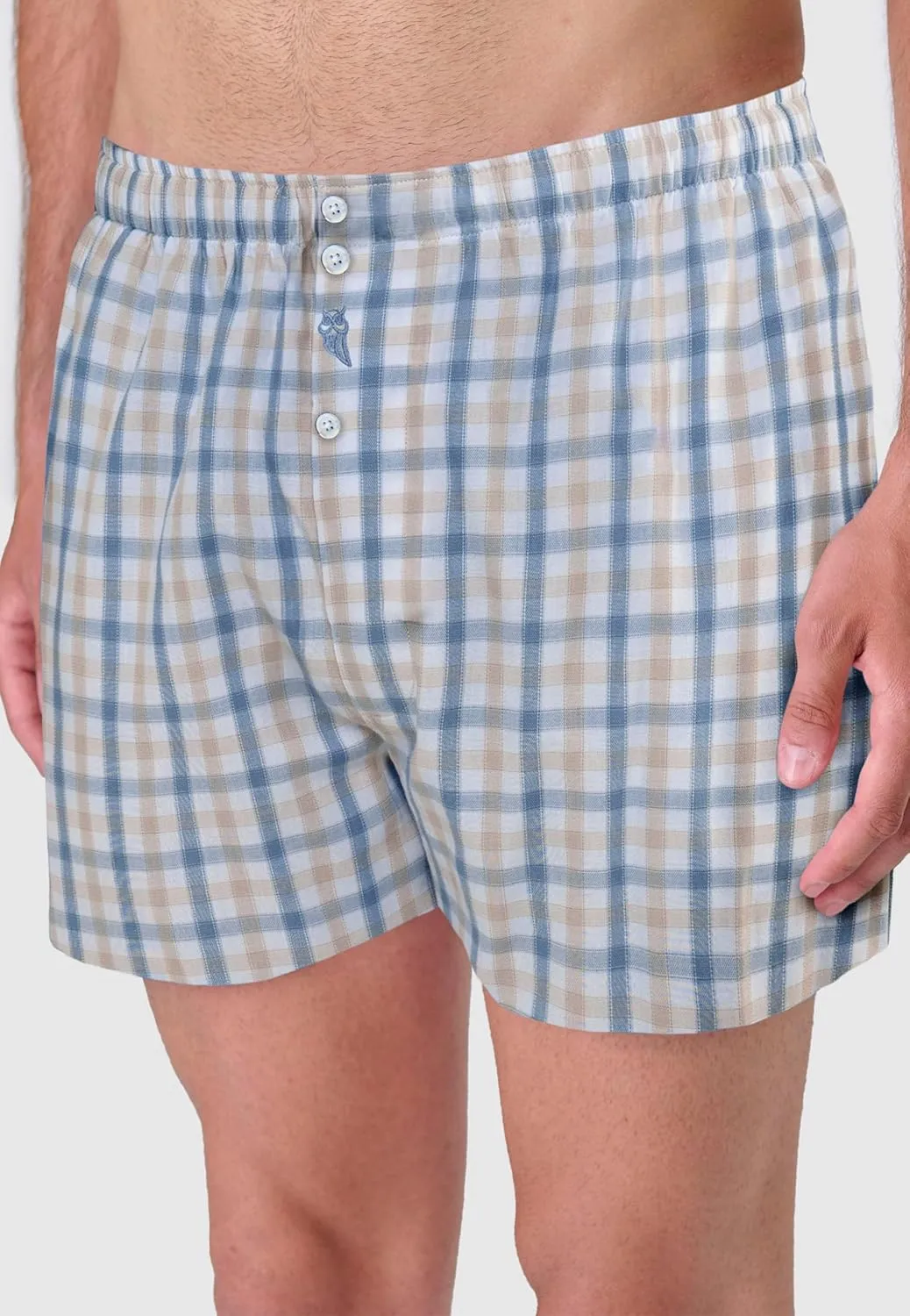 El Bho Nocturno Men's Boxer Briefs Classic Woven 1 Unit Checkered Striped Underwear for Men Boxers for Men