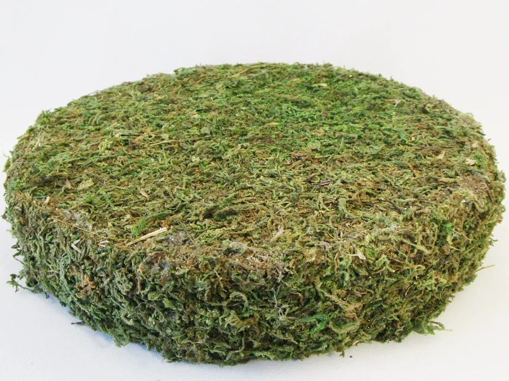 Round Moss Base