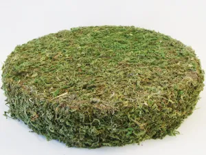 Round Moss Base